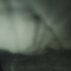 2025.  buffalo 50$ gold Coin