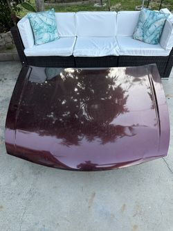 Honda Accord Hood