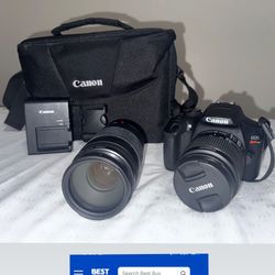 Canon Camera 
