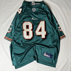 Dolphins jersey