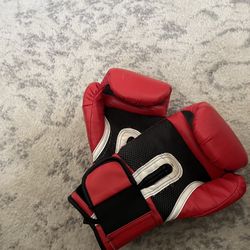 Everlast 14 Oz Gloves