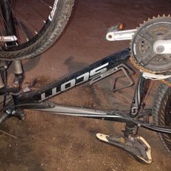 Scott Bike