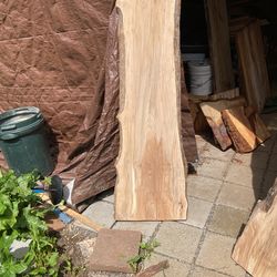 Dry maple slab five years.