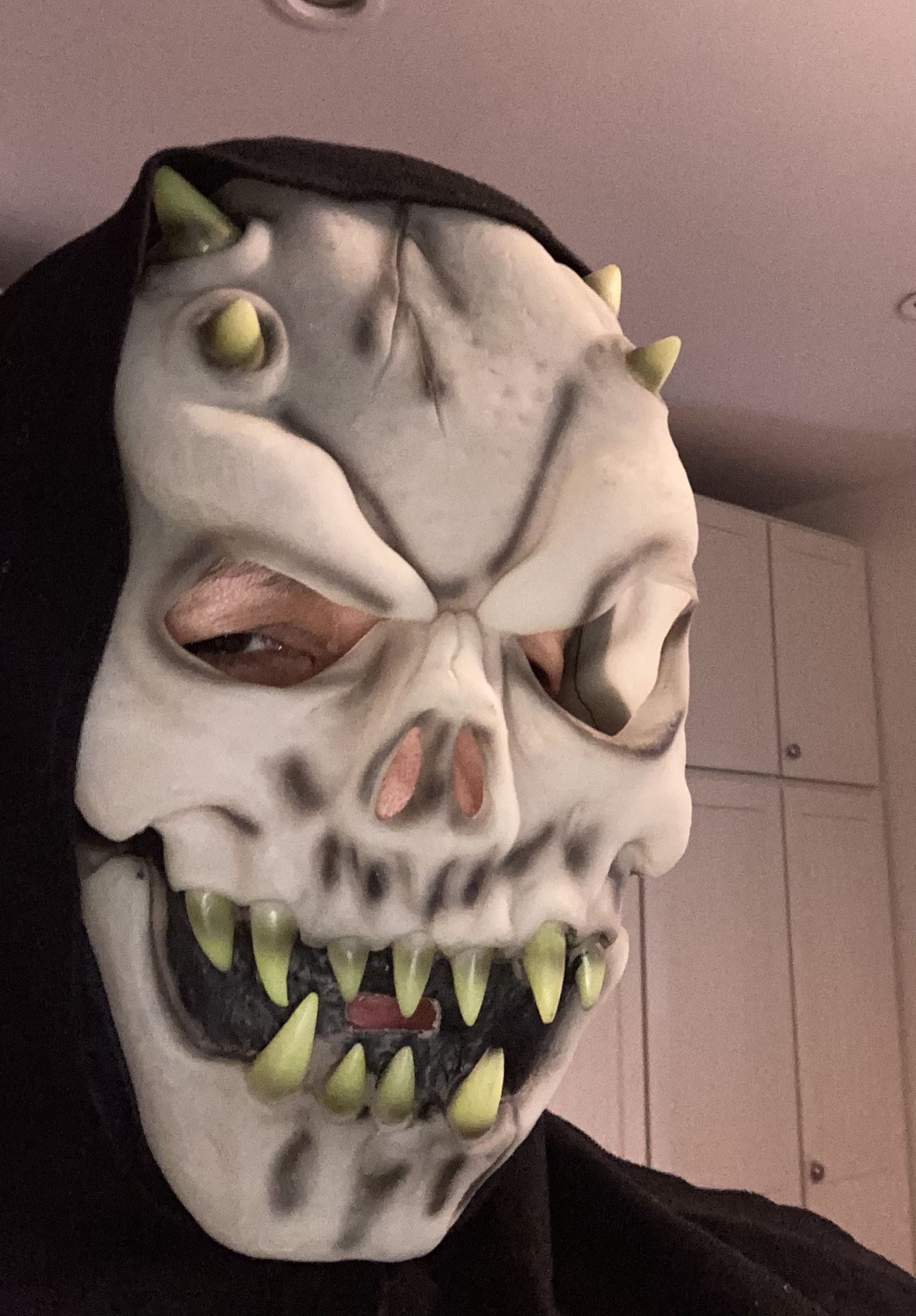 Totally Halloween Ghoul Glow In The Dark Face Mask