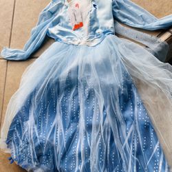 Frozen Costume