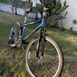 Raleigh Mountain Bike