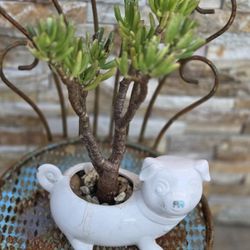 Small Planter With Plant 