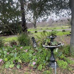 Rustic Fountain With Succulent 