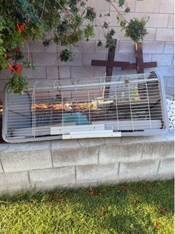 Guinea pig cage