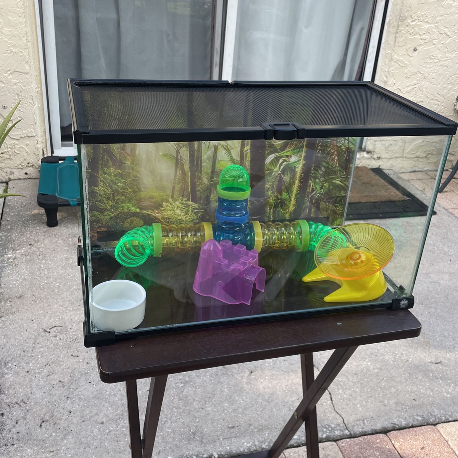 10-Gallon Tank (set Up For Hamsters Or Mices)