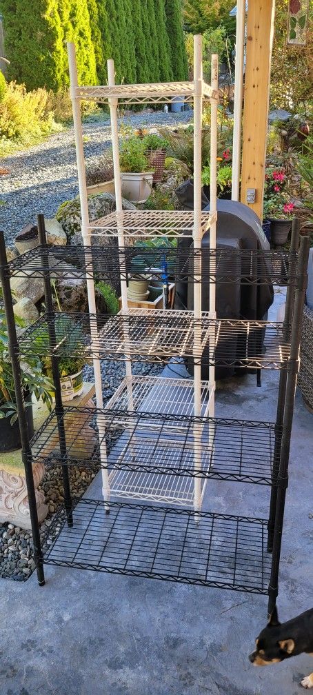 Two Sturdy Shelves