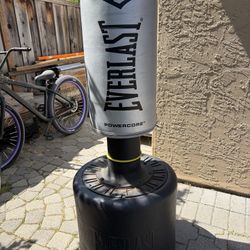 EVERLAST POWERCORE PUNCHING BAG
