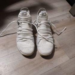 2017 Kd's Size 12