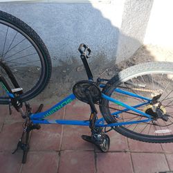 Baby Blue Schwinn 29"