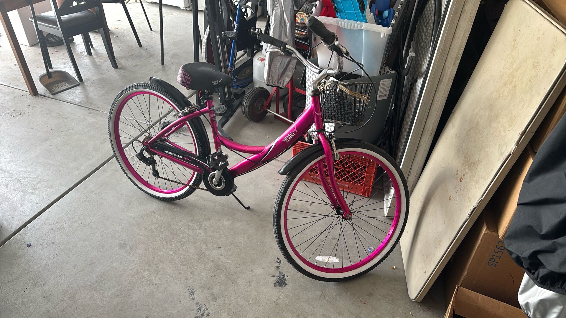 Susan G. komen 26