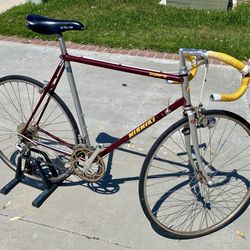 Nishiki road bike