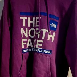The North Face Hoodie Sweatshirt 