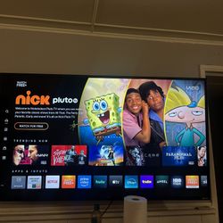 55 Inch Vizio Tv