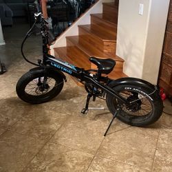 Selling Lectric LX