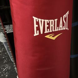 Punch Bag - Everlast , With Hardware