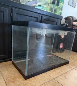 60 Gallon Fish Tank