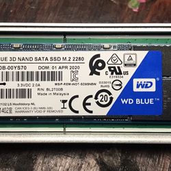 Western Digital WD Blue 2TB M.2 SSD SATA Storage