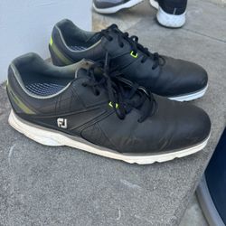 Foot Joy Golf Shoe
