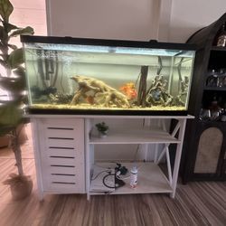 75 Gallon Tank And Filtet