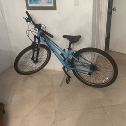 Trek bike