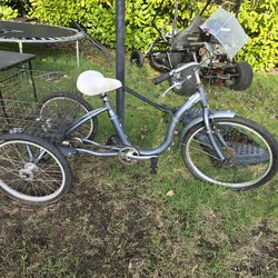 Vintage Scwhinn Trike With Basket