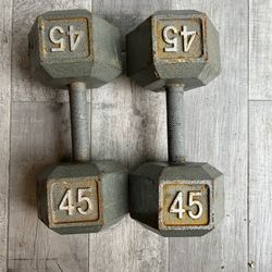 45 Lbs Dumbbells 