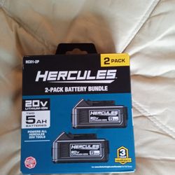Hercules 2pk Battery Bundle 20v 5AH and Hercules fan cooled dual charger