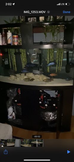 Fx6 Fluval Filter