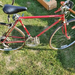 Antique Bicycle 