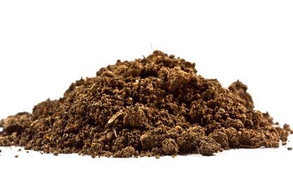 Dirt dump site, want fill dirt