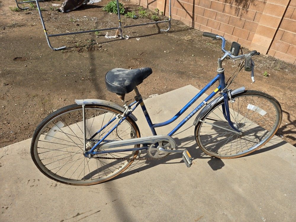 Vintage Schwinn Womens Bike