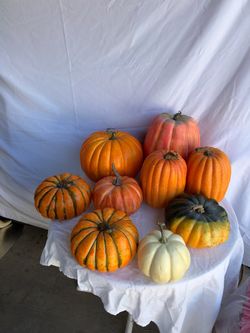 Assorted Decorative Pumpkins Set of 9