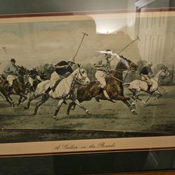 POLO Pictures 