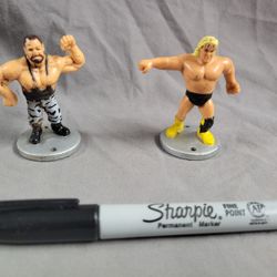 Hasbro 1991 WWF Mini Titans, Butcher From The Bushwackers &  Greg The Hammer Valentine