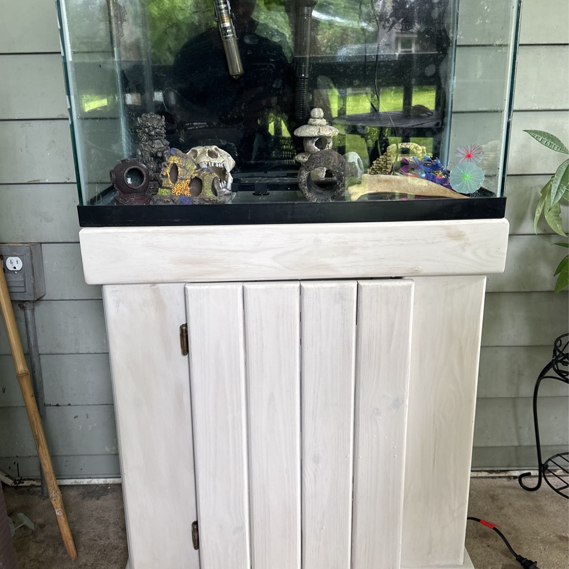 20 Gallon Fish Tank