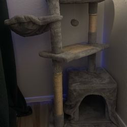 Cat Tree