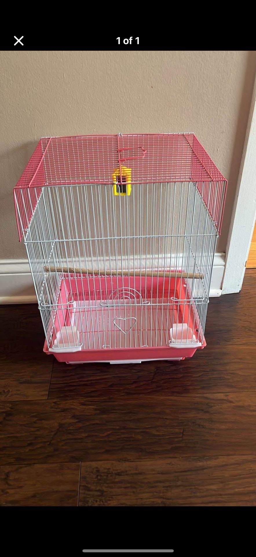 Bird Cage 