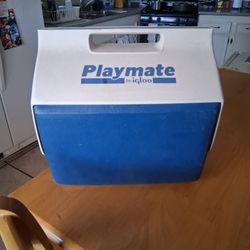 Playmate Ice Cooler 