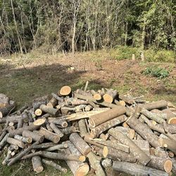 Firewood Logs 