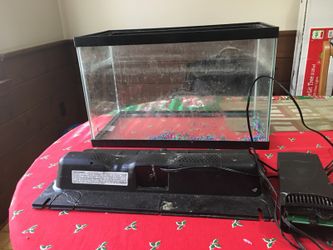 Fishtank