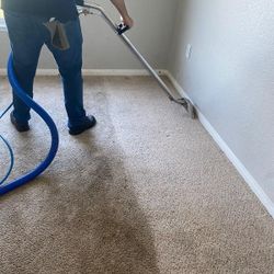 Steam Carpet Shampoo