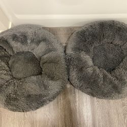 Dog Beds