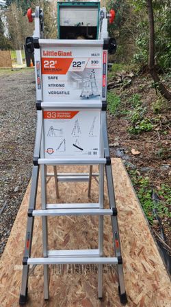 Little giant 22 ' ladder