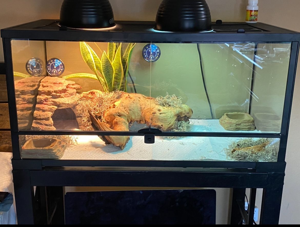 40 Gallon Reptile Terrarium With Stand 