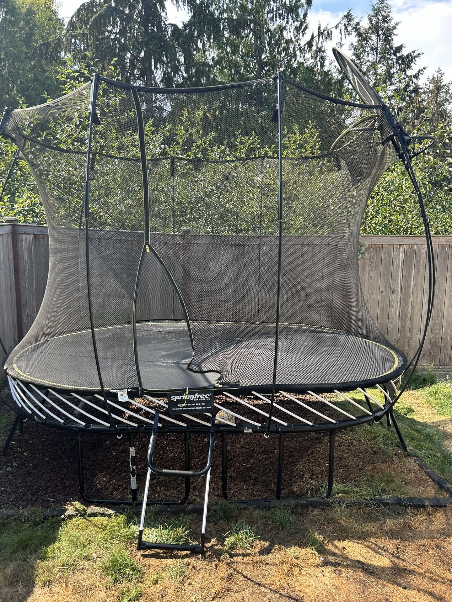 SPRINGFREE TRAMPOLINE - with basketball hoop